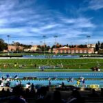 UCLAに多く編入しているコミュニティカレッジTOP10