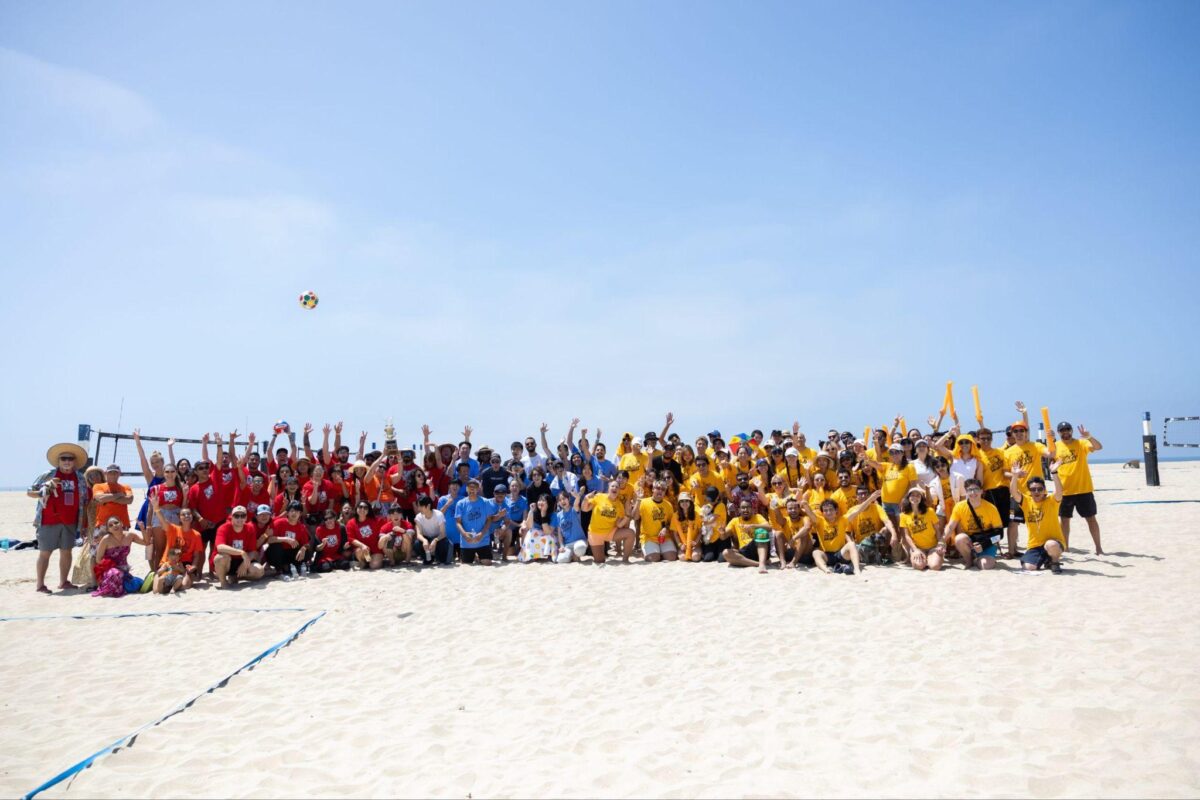 LSIビーチアクティビティ