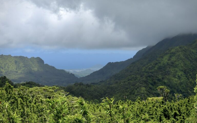 緑の山に囲まれた谷